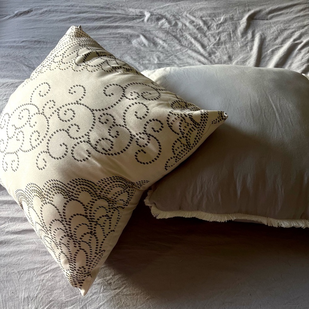 Two Small Throw Pillows